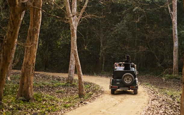 jeep safari pic